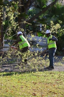 Professional Debris Hauling and Storm Damage Cleanup Services for The Landings