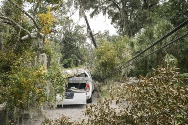 Debris Hauling and Storm Damage Cleanup for Residents and Businesses of Skidaway Island
