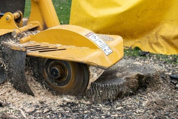 Pooler Georgia, Stump Grinding Experts