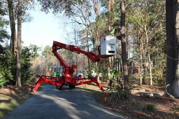 The Landings - Tree Service Experts