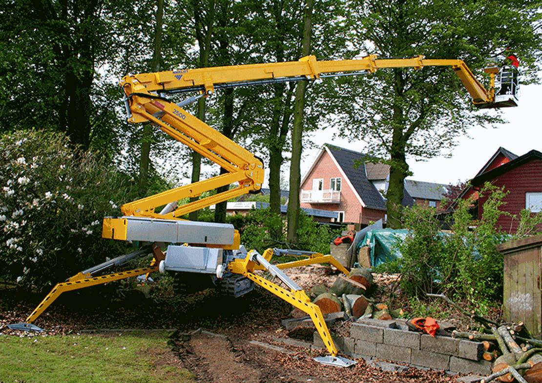 Skidaway Island – Tree Removal Experts