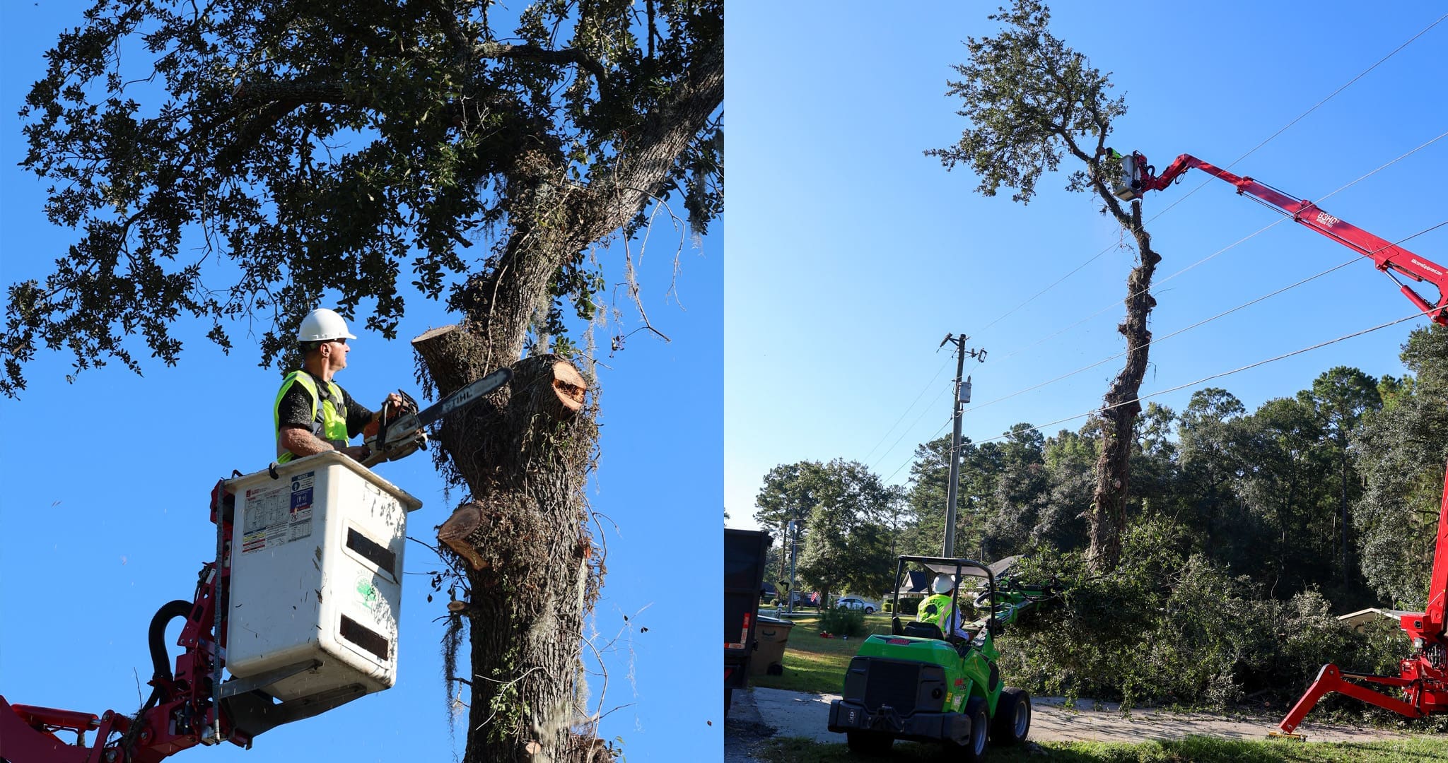 Savannah Georgia - Emergency Tree Trimming