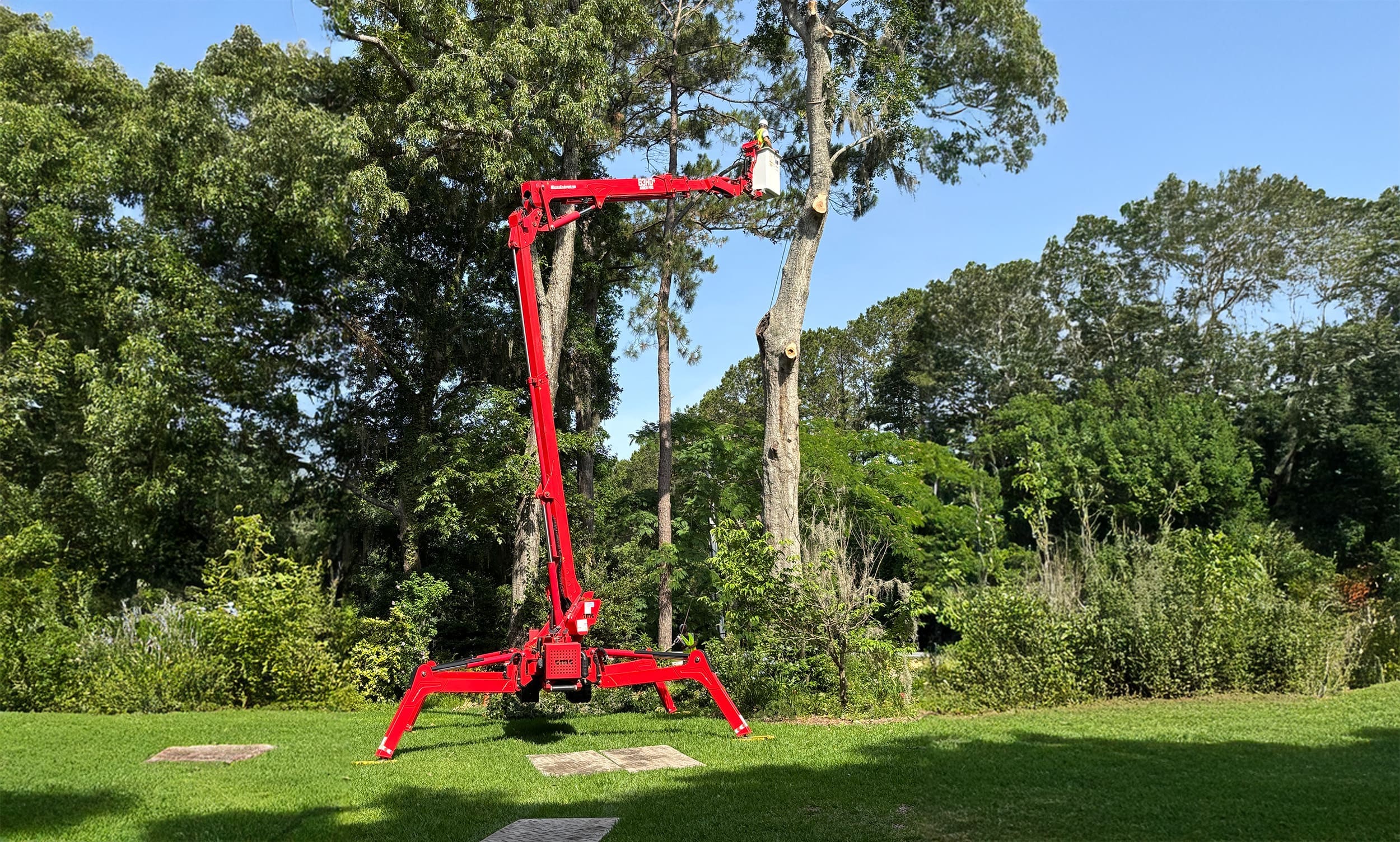 Savannah Georgia - Tree Service